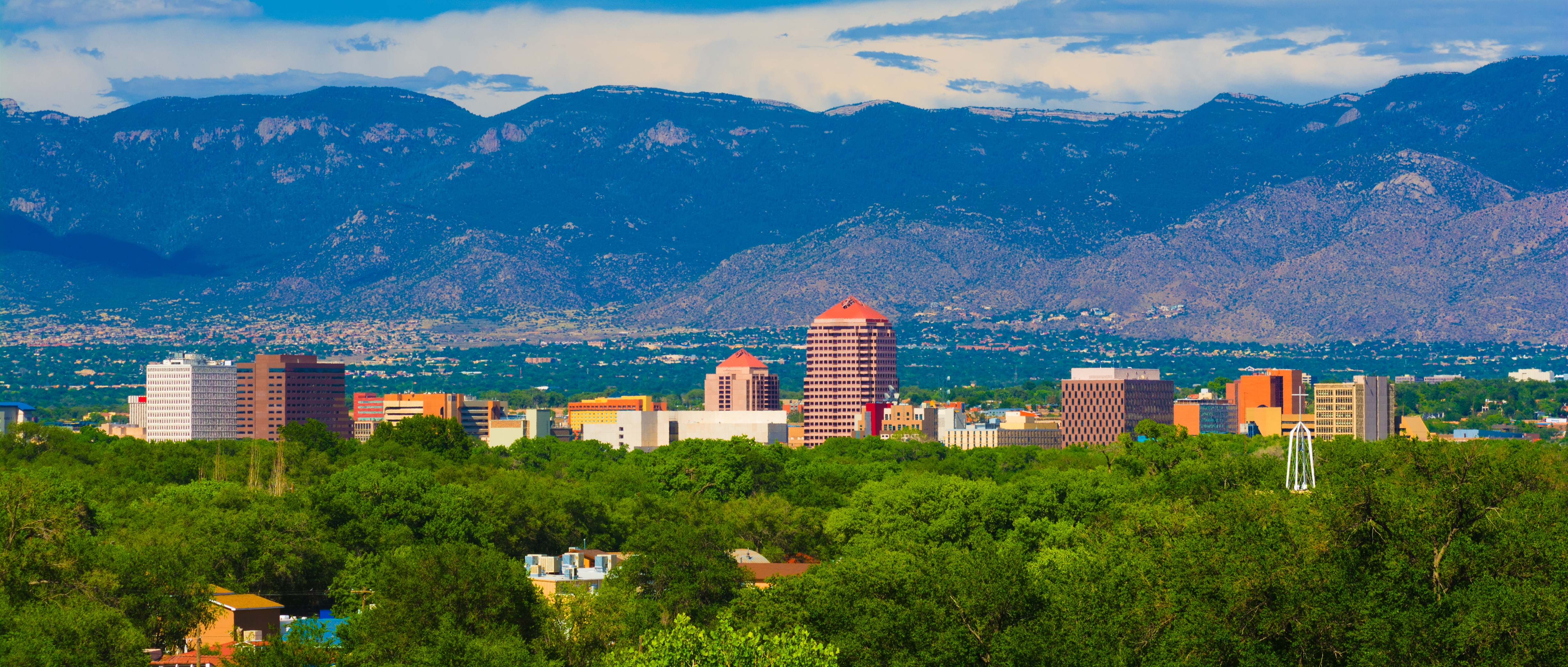 Albuquerque Book Fair